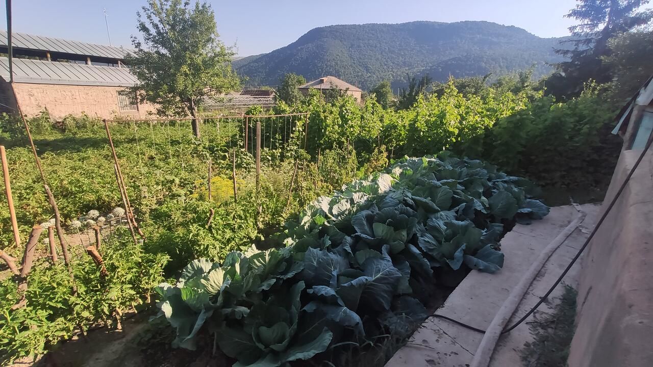 Гостевой дом Eco Guest House in Meghradzor Meghradzor-4