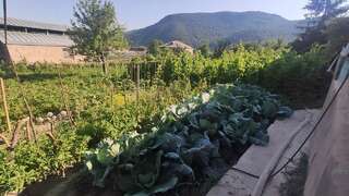 Гостевой дом Eco Guest House in Meghradzor Meghradzor-0